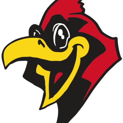 AR CARDINAL 36 RC Thumbnail