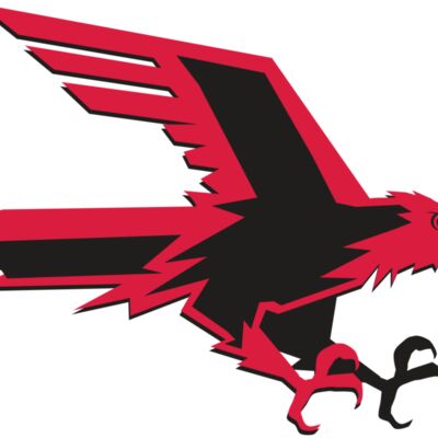 AR9 FALCON 02 RQC Thumbnail