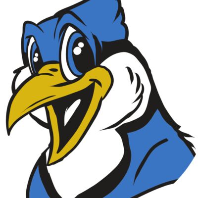 AR31 BLUEJAY 01 RQC Thumbnail