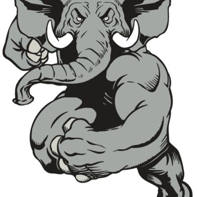 AR ELEPH 18 RC Thumbnail