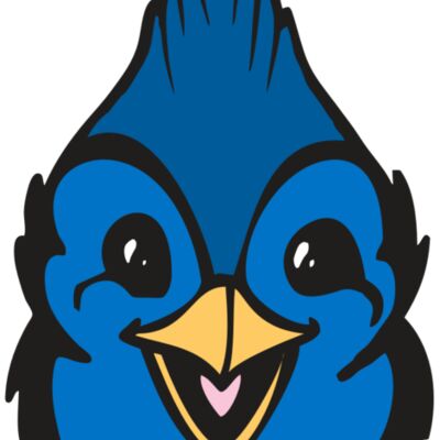 BAW BLUEJAY 19 RC Thumbnail