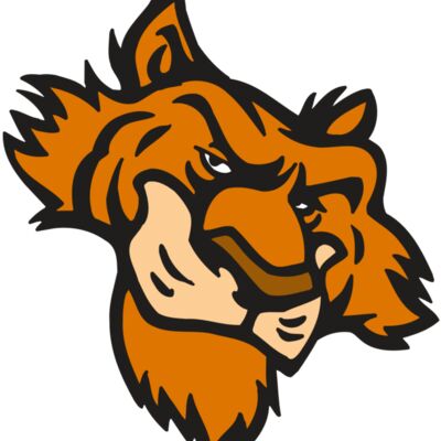 AR5 Tiger 16 RQC Thumbnail