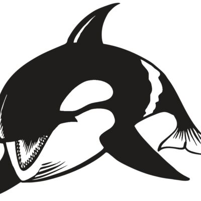 BAW KLRWHALE 04 RC Thumbnail