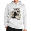 Sport Wick ® Fleece Hooded Pullover Thumbnail